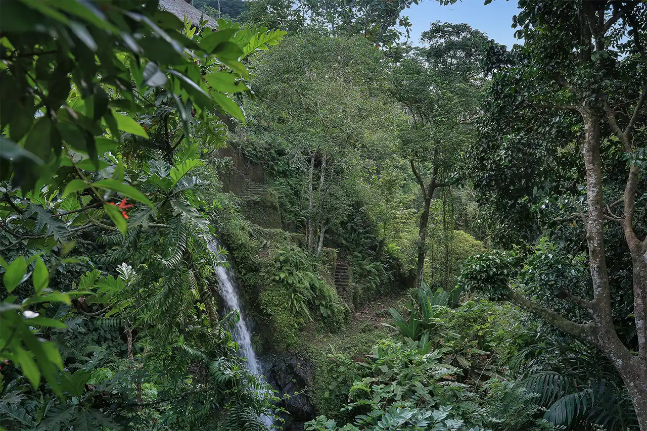 One Bedroom Waterfall View